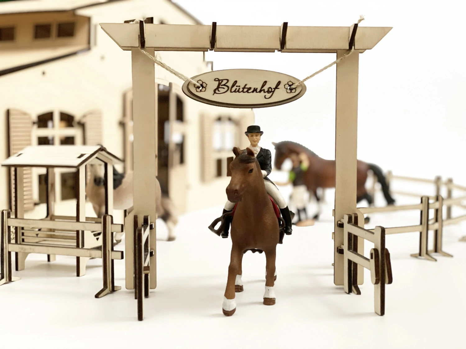 Laser File - Riding Stable Accessories