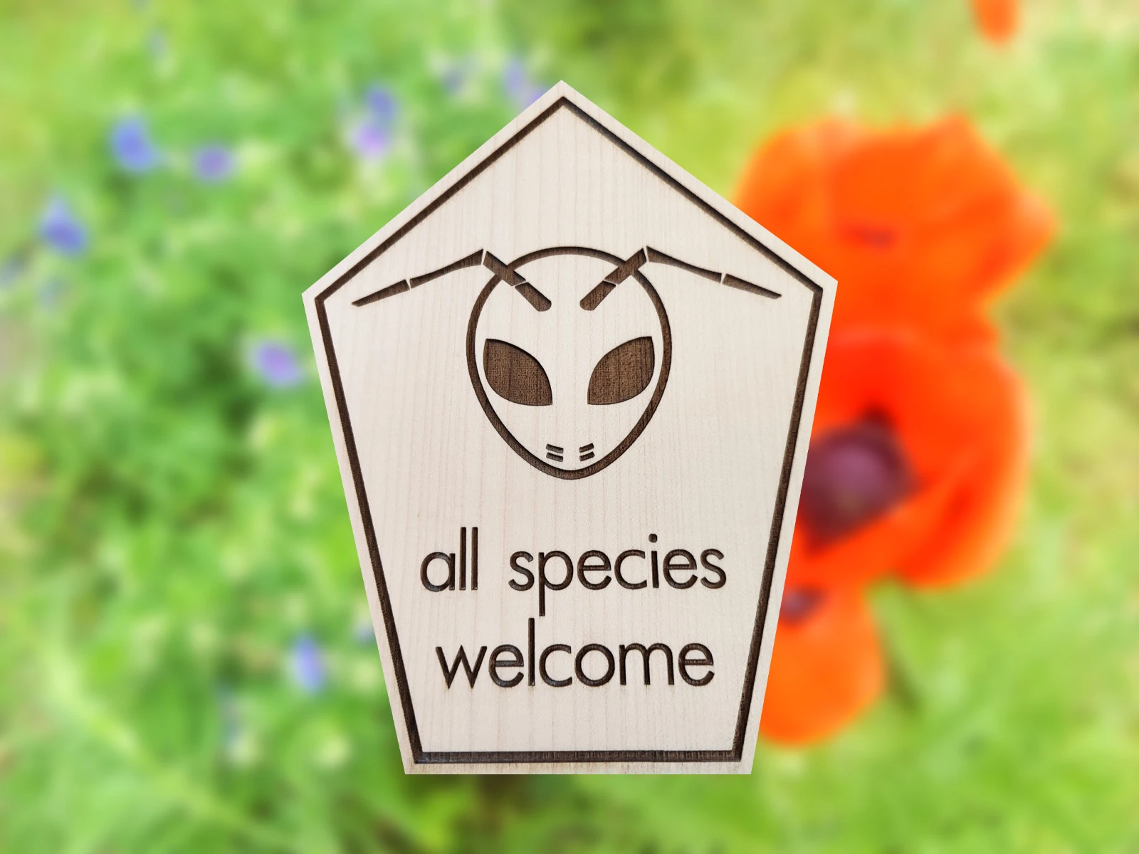 Laserdatei - all Species welcome - Schild für Wildblumenwiesen